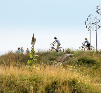 People Biking in Buffalo, NY