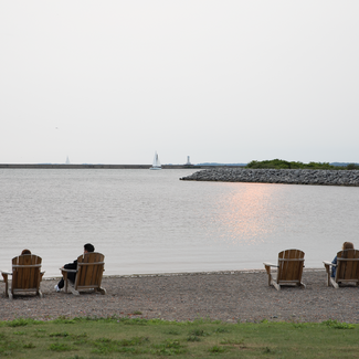 Screen Shot 2020 03 09 at 2 31 29 PM