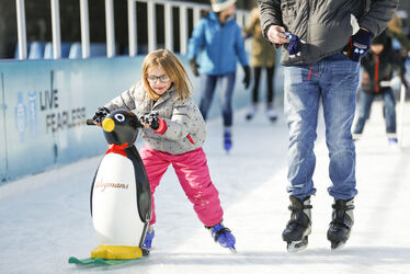 Enlarge image: Girl Skating with Penguin