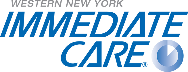 Enlarge image: WNYIC Stacked Logo No Tag 002